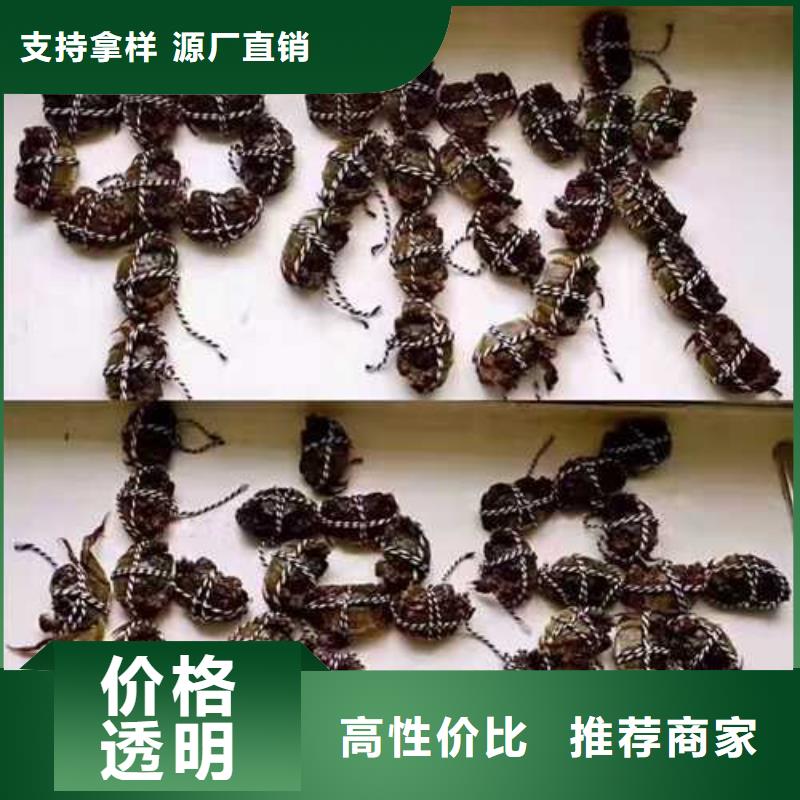 陽澄湖大閘蟹物流送貨上門