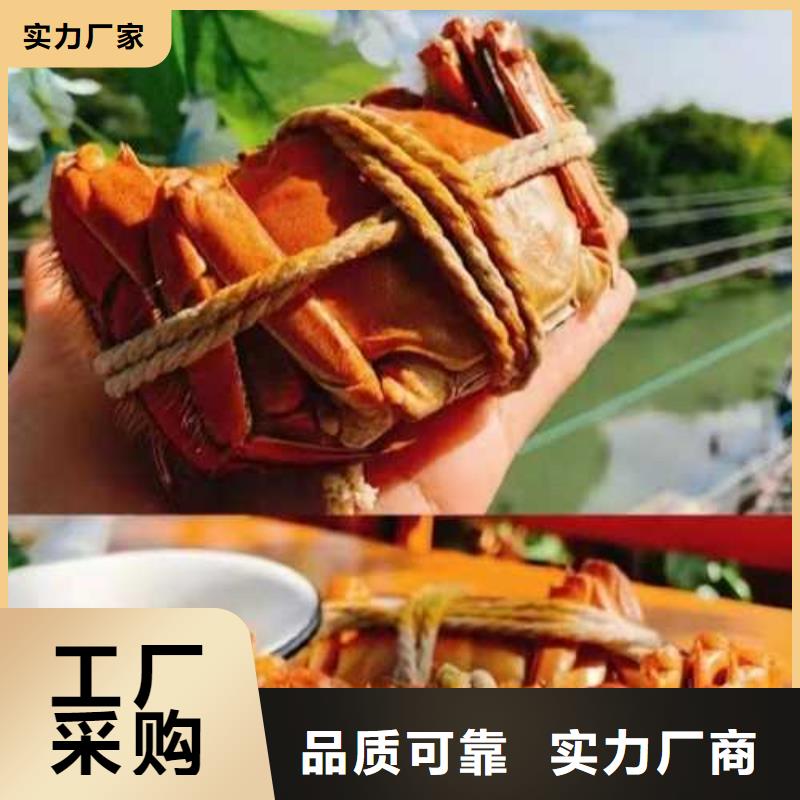 大閘蟹公司