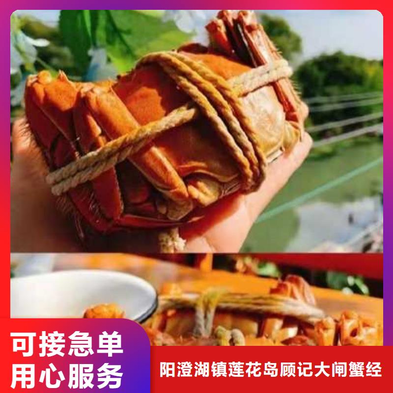 陽澄湖大閘蟹訂購