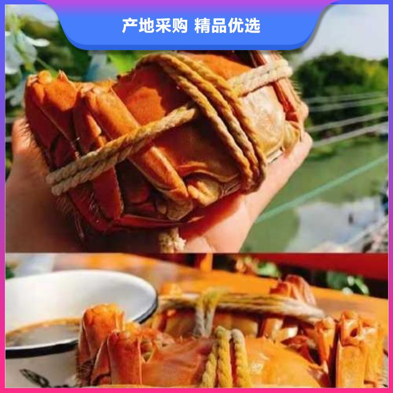 大閘蟹專業(yè)銷售團(tuán)隊(duì)