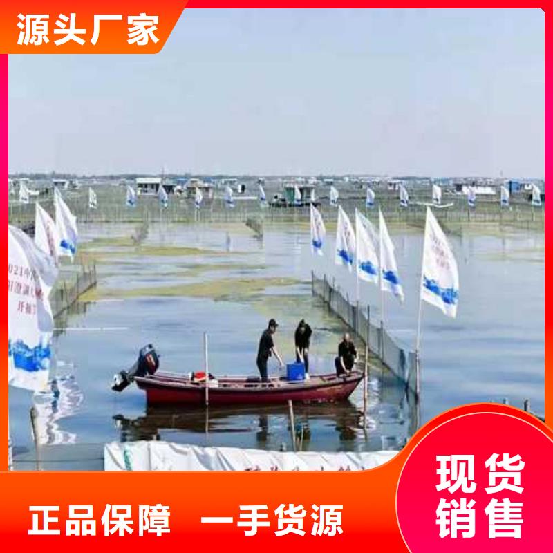 蔚縣哪里賣陽澄湖大閘蟹