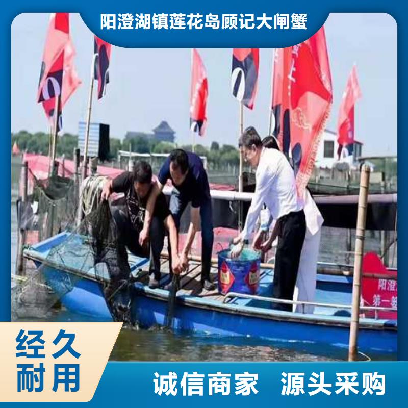蔚縣陽澄湖大閘蟹訂購