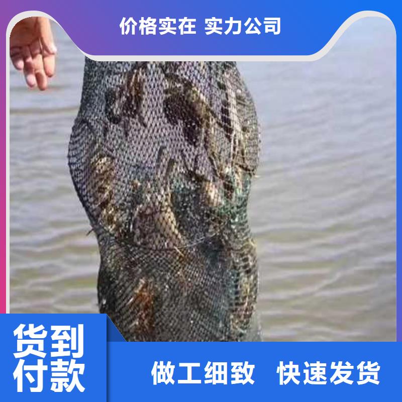 質量好的螃蟹廠家批發