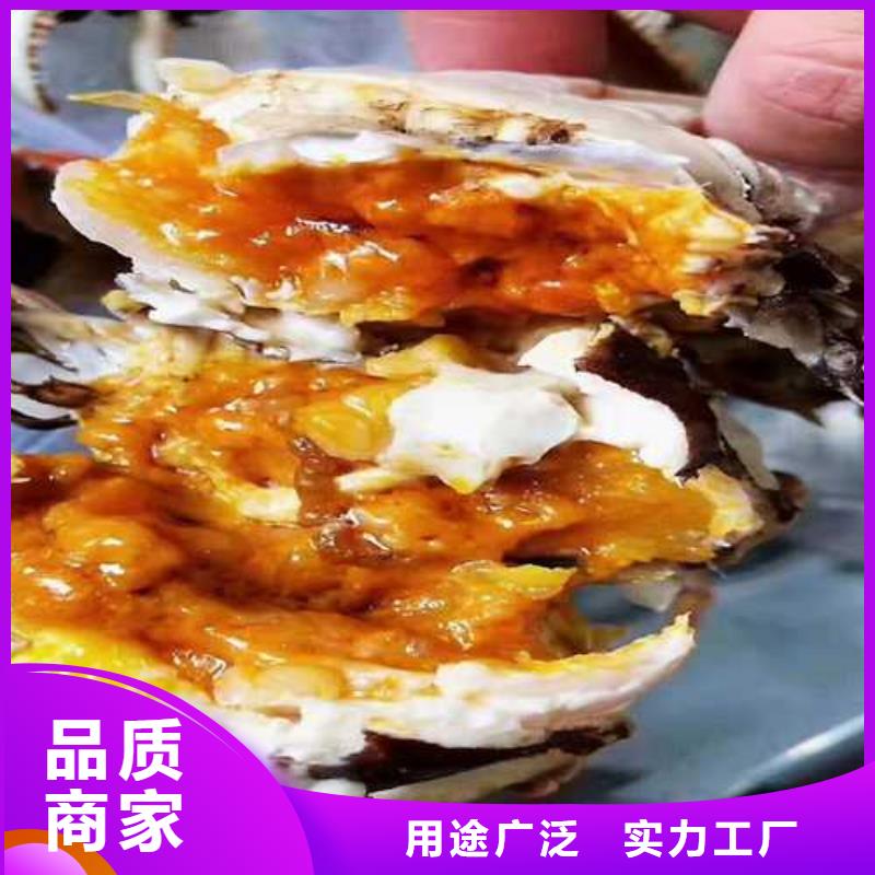 陽澄湖大閘蟹訂購