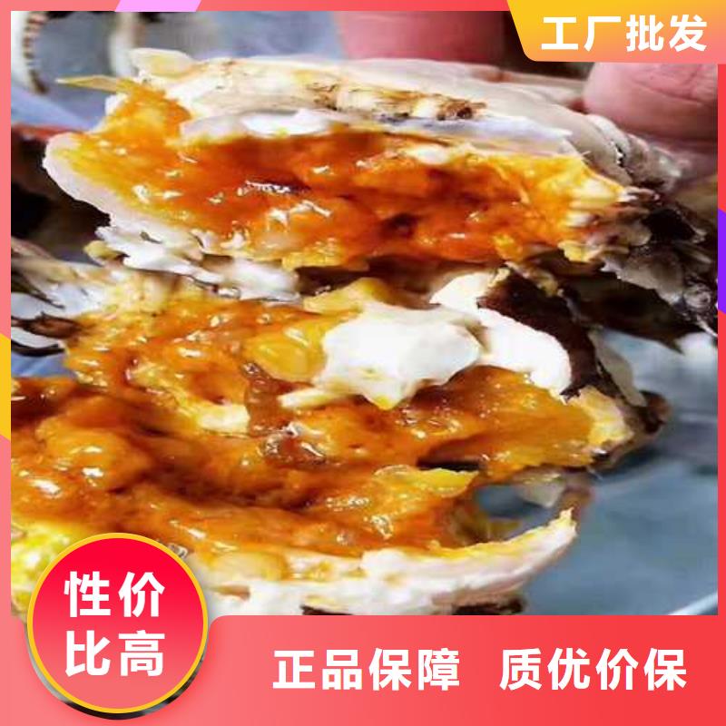 專業銷售大閘蟹-全國配送