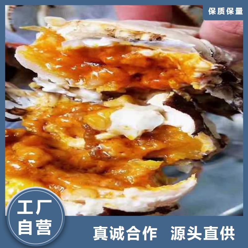 買大閘蟹