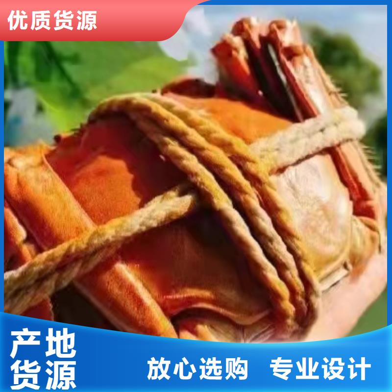 大閘蟹禮盒特價(jià)銷售