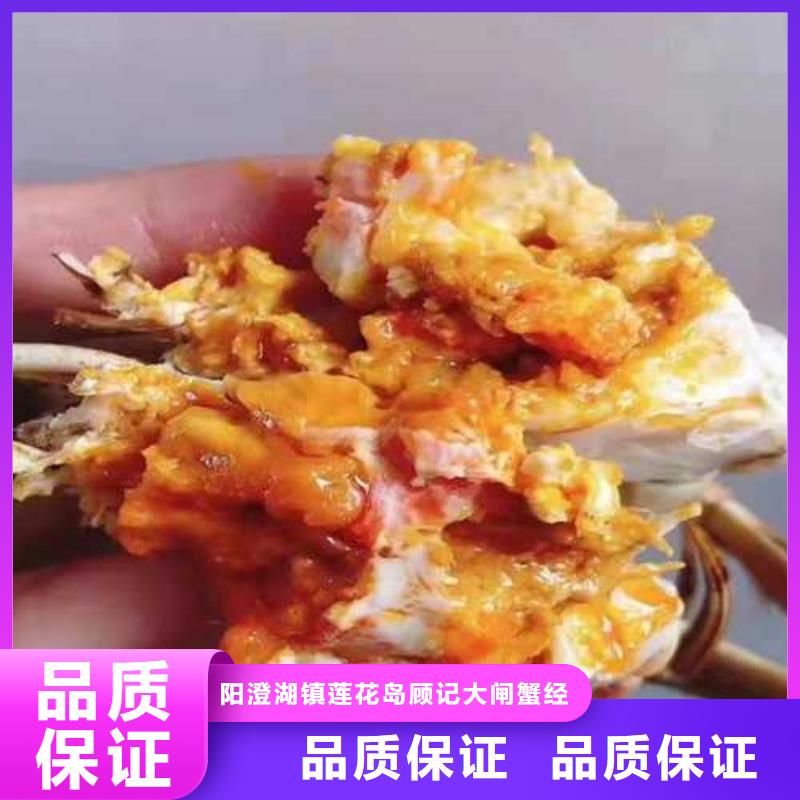 今天的螃蟹養殖基地聯系方式