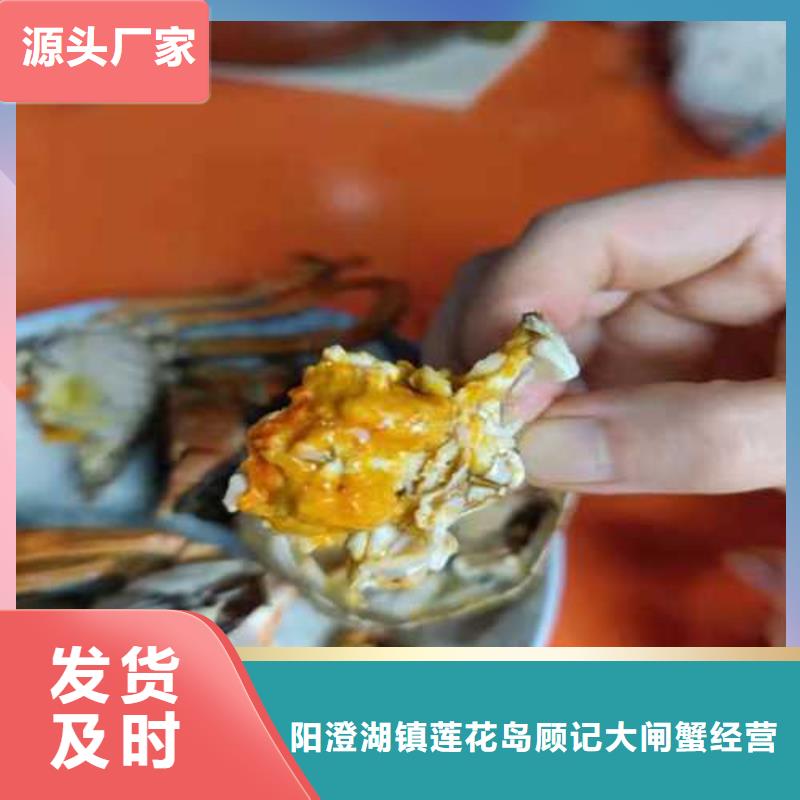 供應批發(fā)大閘蟹-全國配送