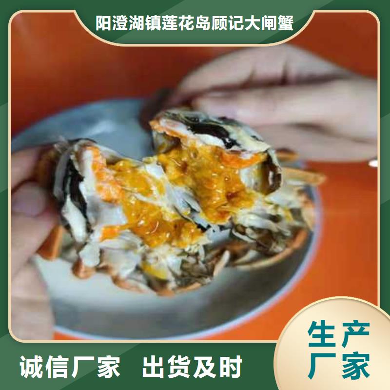 打螃蟹-您的優選