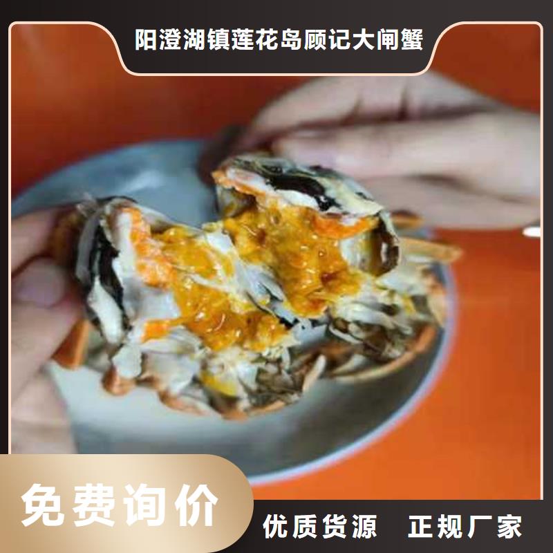 陽澄湖大閘蟹哪家正宗