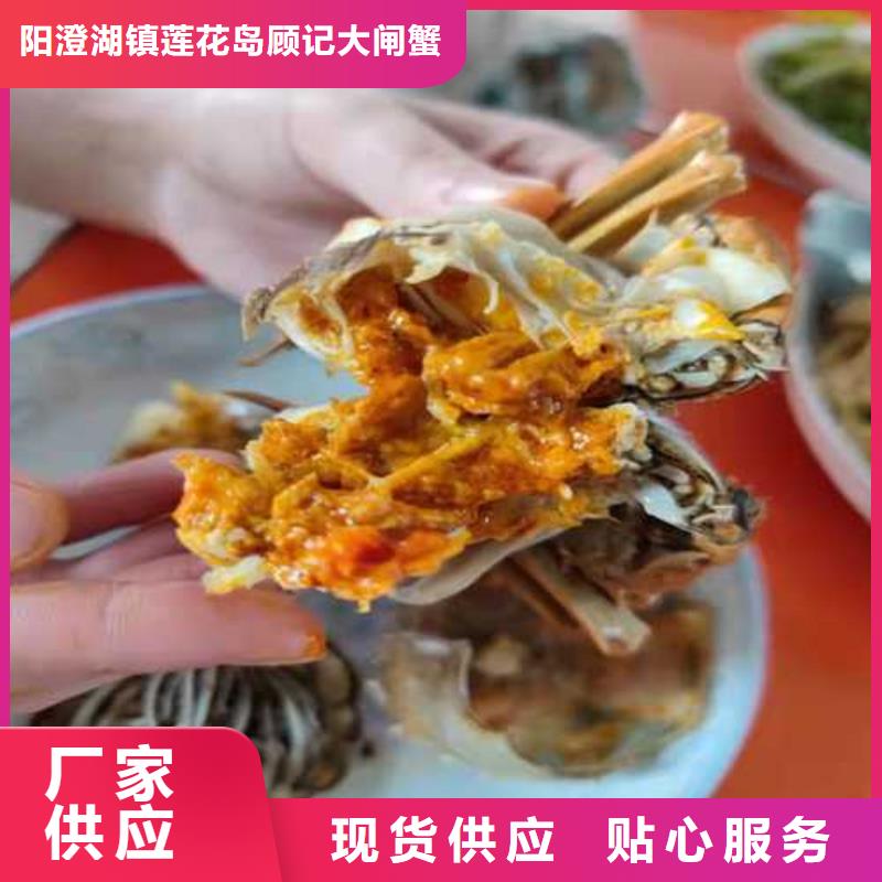 封開陽澄湖大閘蟹聯系電話
