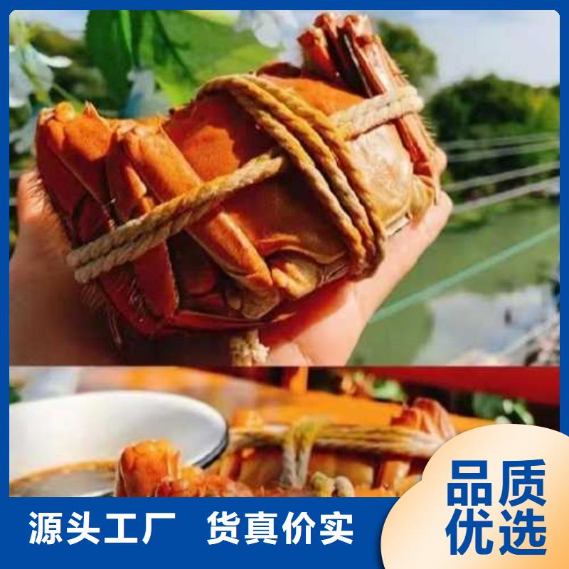 蘇州陽澄湖大閘蟹哪家比較正宗