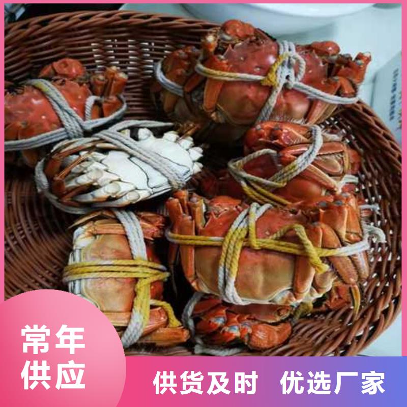 博野縣賣陽澄湖大閘蟹地方