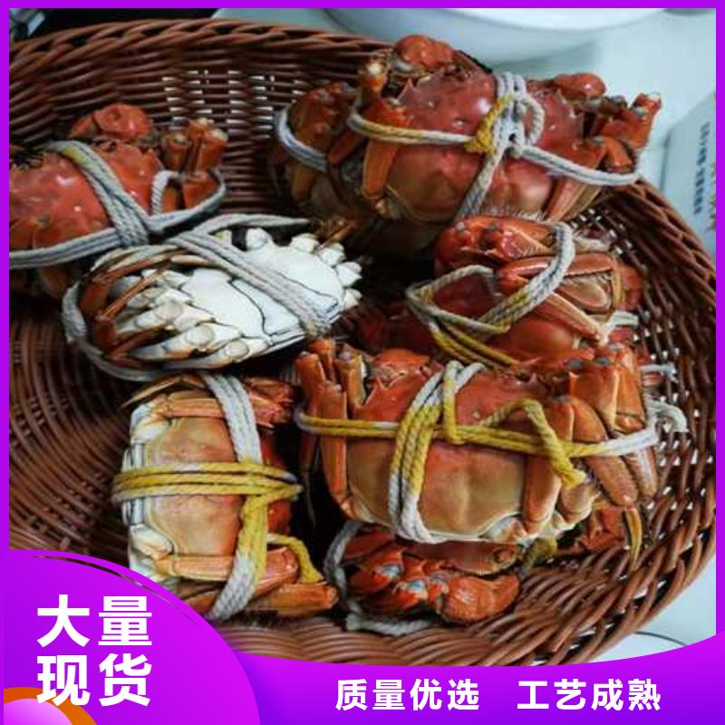 口碑好的超大閘蟹廠家