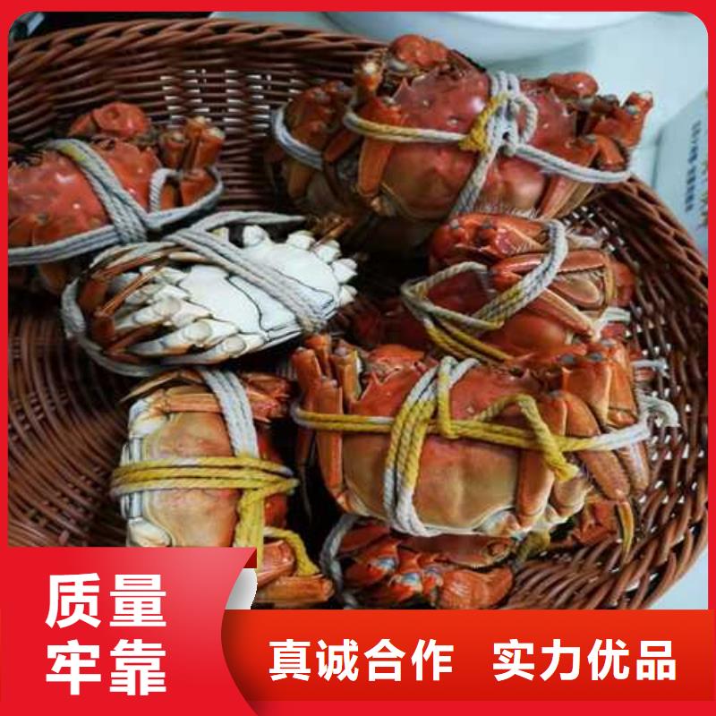螃蟹電話訂購熱線