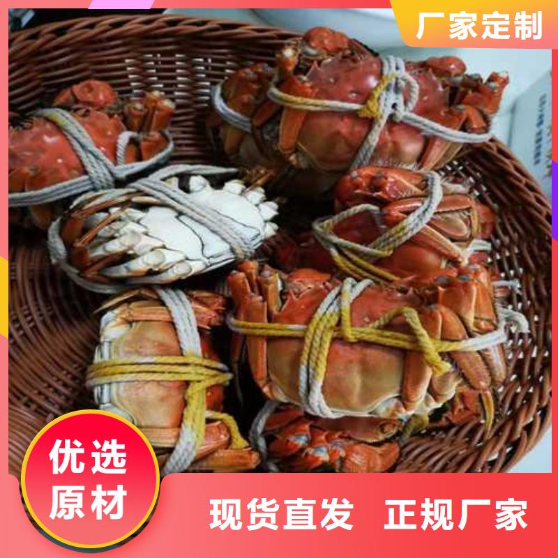 买大闸蟹视频-长岛|海阳|临沂|菏泽|德州|滨州|威海顾记买大闸蟹_ 阳澄湖镇岛顾记大闸蟹经营部(烟台市分公司)