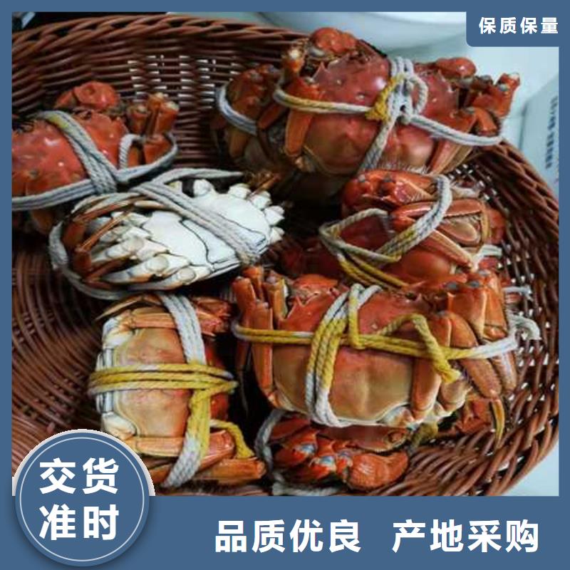 大閘蟹口碑良好