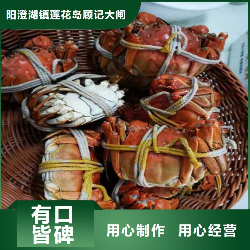 優(yōu)選大閘蟹