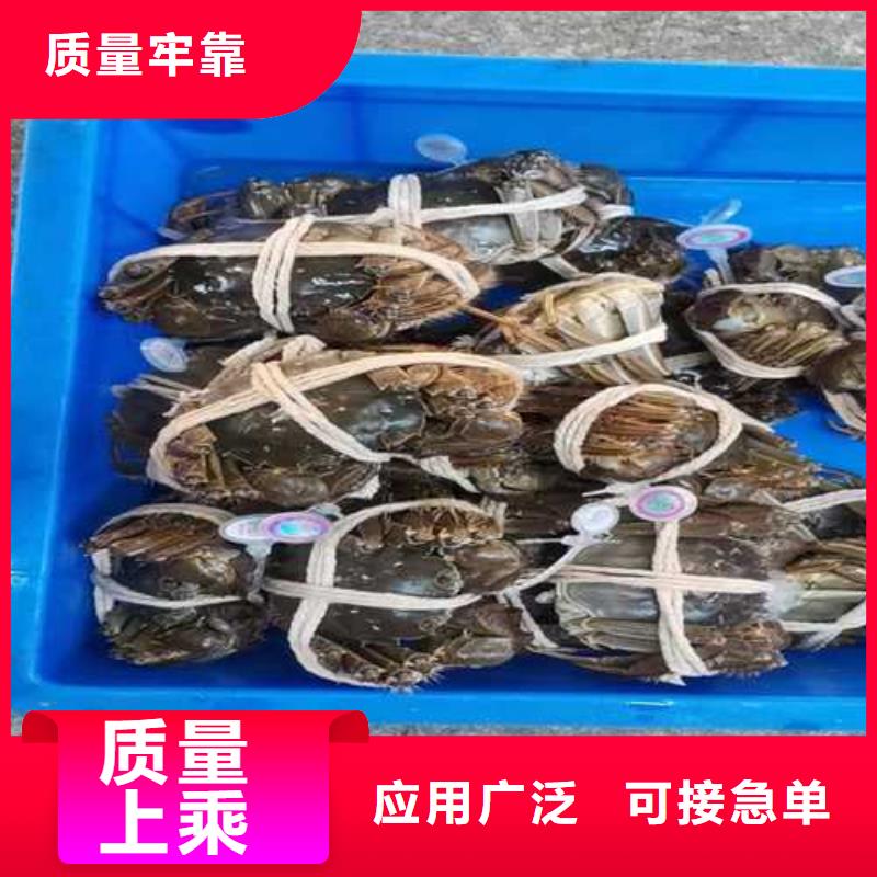 買大閘蟹