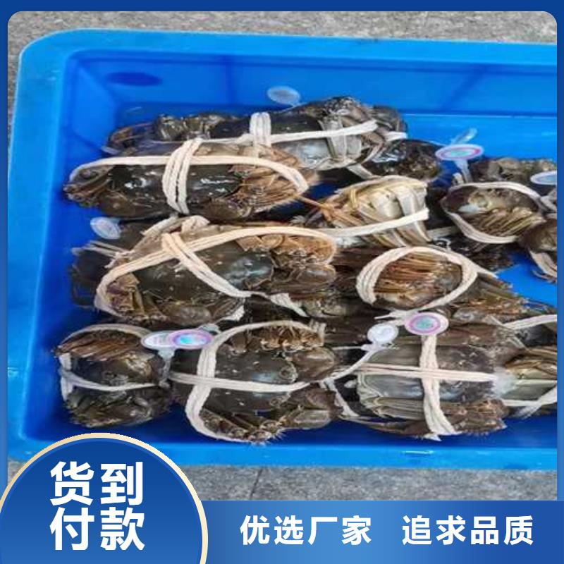 镇巴县阳澄湖大闸蟹经销商