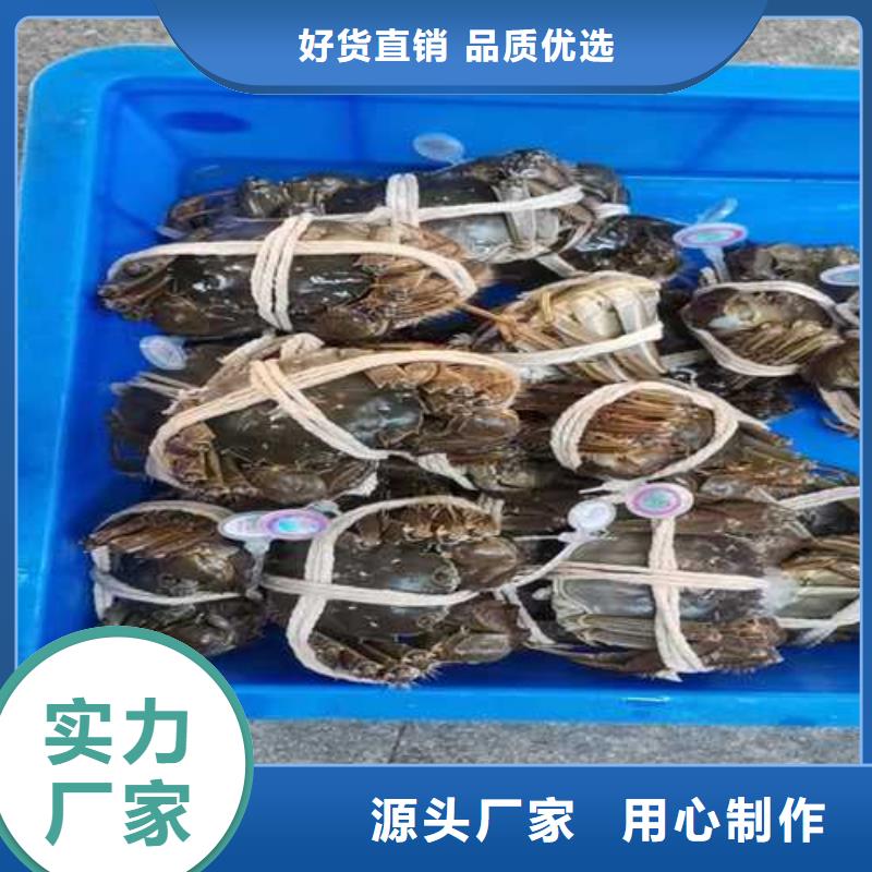 南方大閘蟹價格