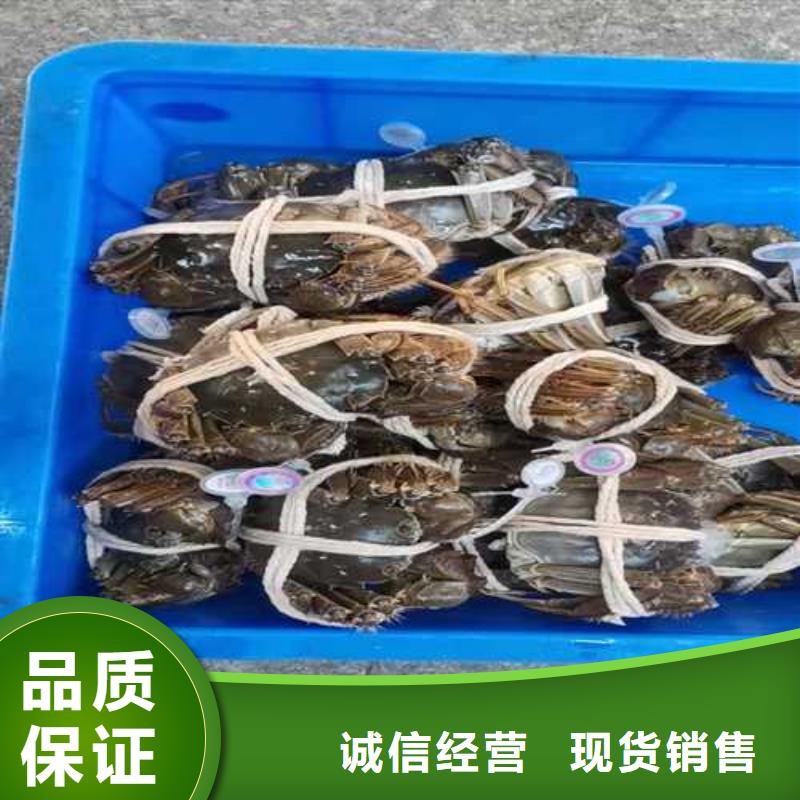 陽澄湖大閘蟹質量好的廠家