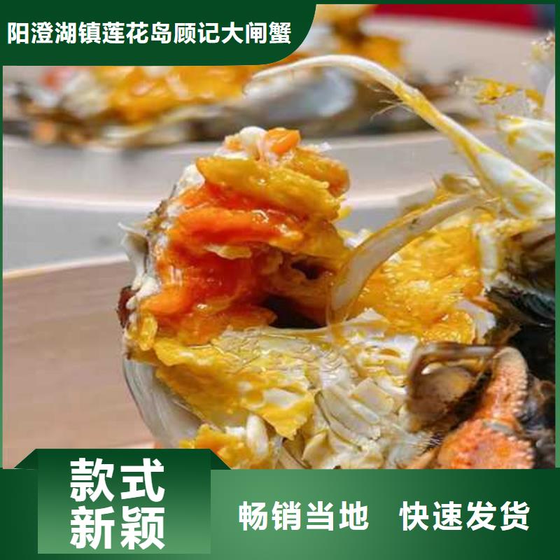 蔚縣哪里賣陽澄湖大閘蟹