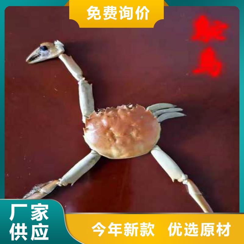免費寄樣#大閘蟹#廠家