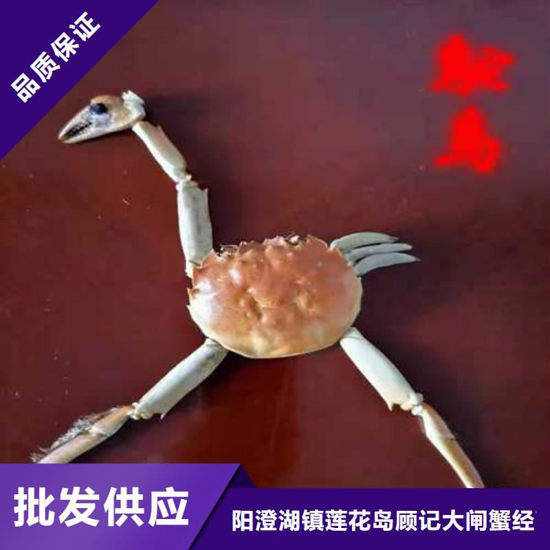大閘蟹禮盒供貨商