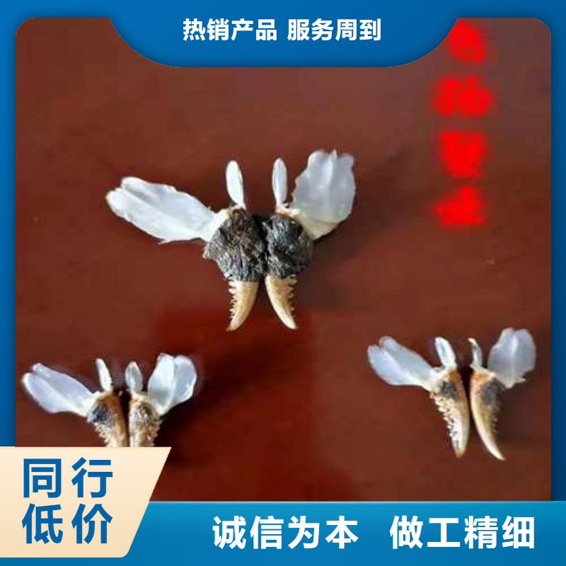 大閘蟹工期短