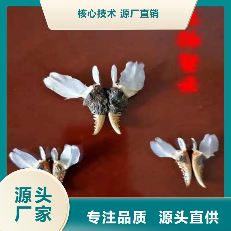 尚義縣陽澄湖農(nóng)家樂
