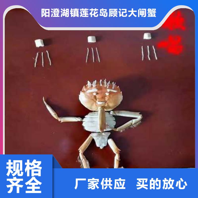 南方大閘蟹團購