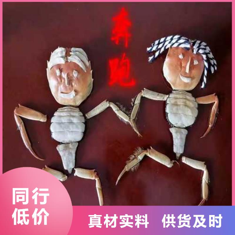 港陽澄湖大閘蟹上市價格