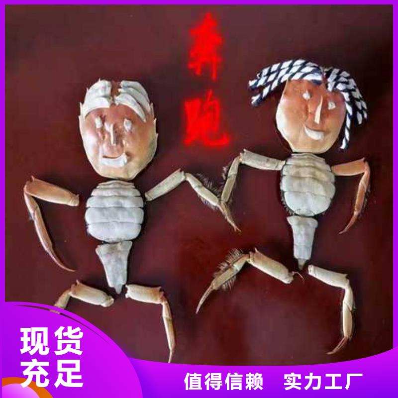 陽澄湖大螃蟹批發(fā)廠家價格優(yōu)惠