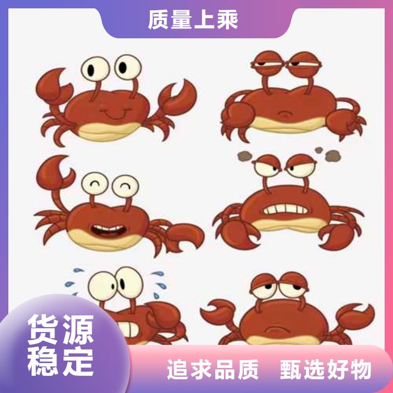 ：陽澄湖大閘蟹生產廠家