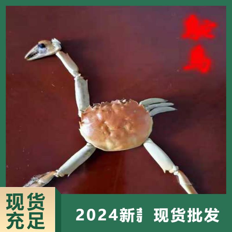 雄縣陽澄湖蓮花島環境