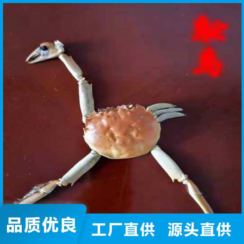 大閘蟹【多圖】