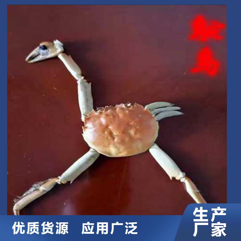 供應批發大閘蟹-品牌