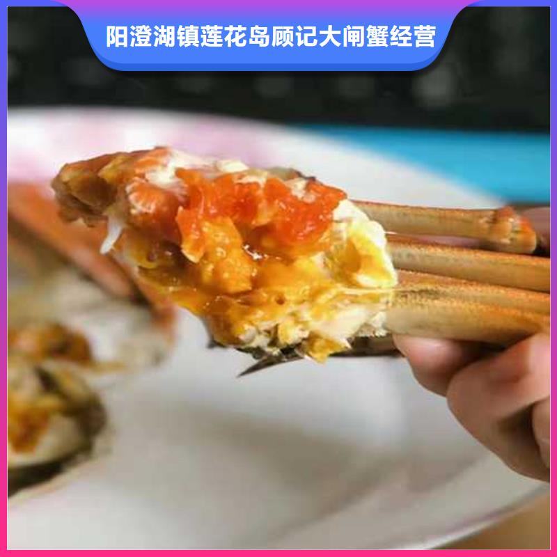 买大闸蟹视频-长岛|海阳|临沂|菏泽|德州|滨州|威海顾记买大闸蟹_ 阳澄湖镇岛顾记大闸蟹经营部(烟台市分公司)