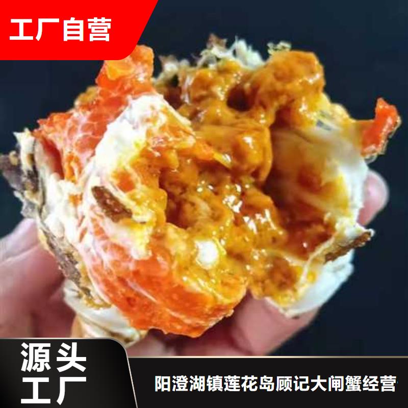 常年供應大閘蟹禮盒-優(yōu)質