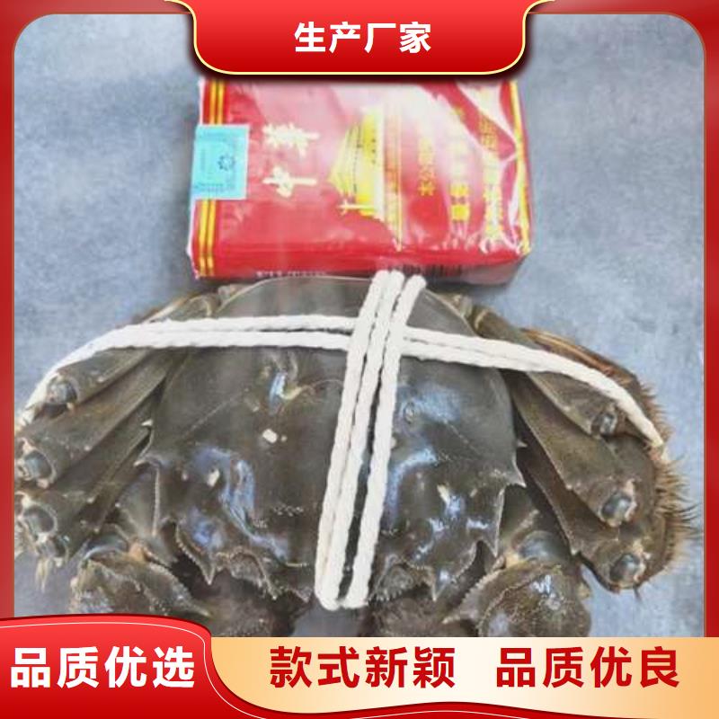 超大閘蟹廠家市場價