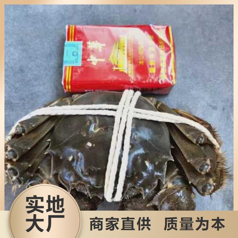 南方大閘蟹團購