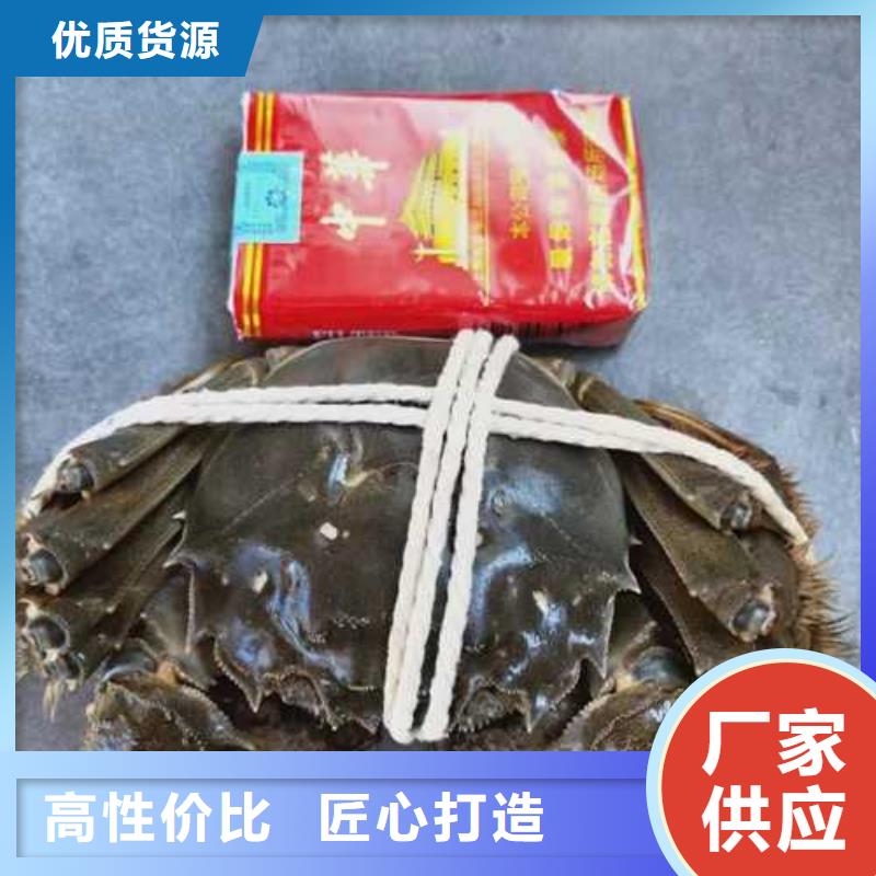 常年供應超大閘蟹-價格優惠