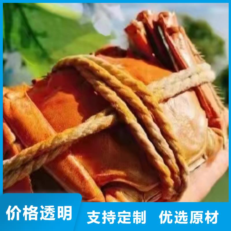 免費寄樣#大閘蟹#廠家