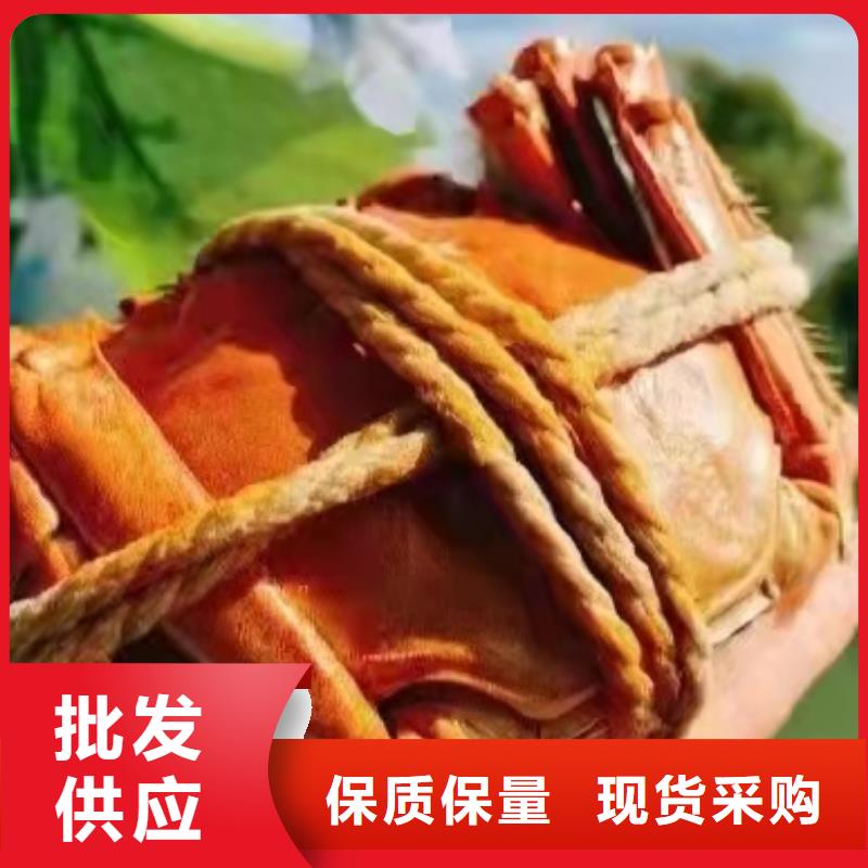 定做大閘蟹連鎖店的公司