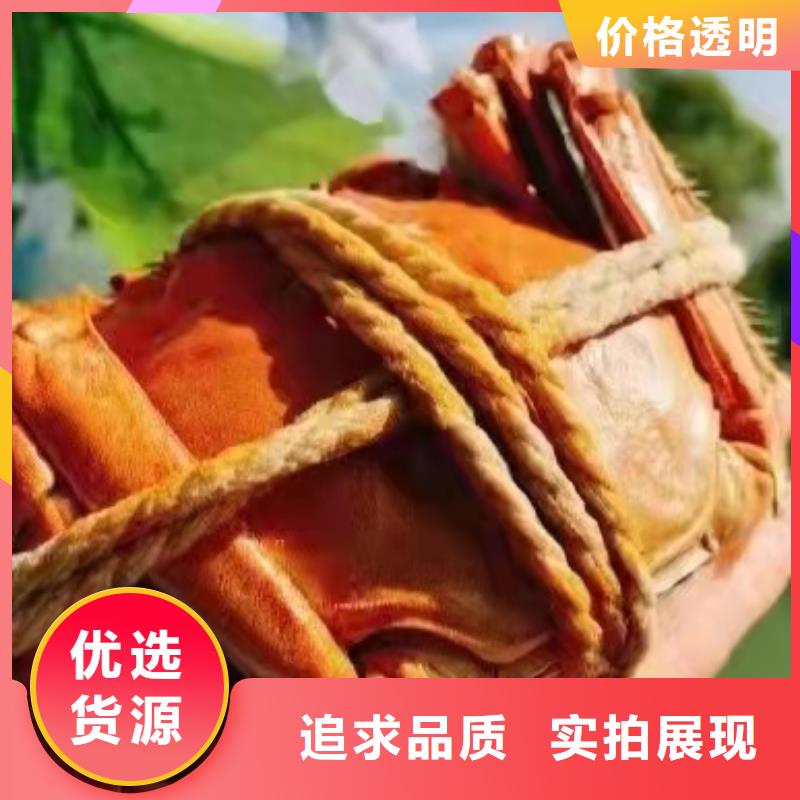 常年供應大閘蟹禮盒-優(yōu)質