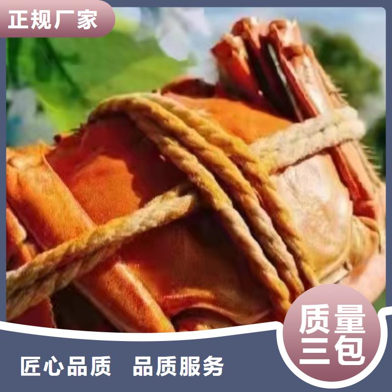 懷來縣賣陽澄湖大閘蟹地方