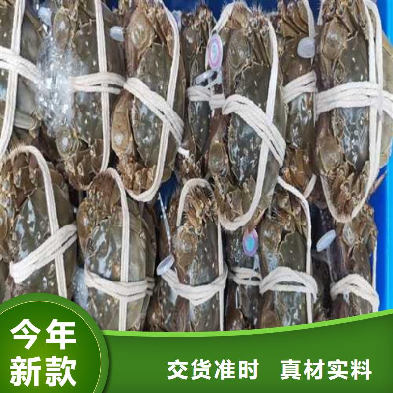 大閘蟹實體廠家成本低