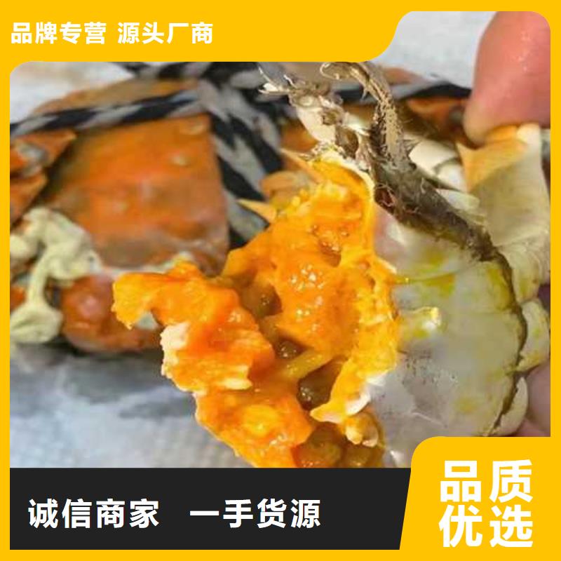 陽原縣買大閘蟹